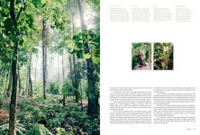 Alternative view 19 of Kinfolk Wilderness