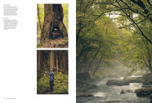 Alternative view 21 of Kinfolk Wilderness