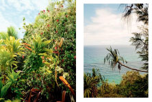 Alternative view 23 of Kinfolk Wilderness