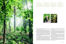 Alternative view 9 of Kinfolk Wilderness