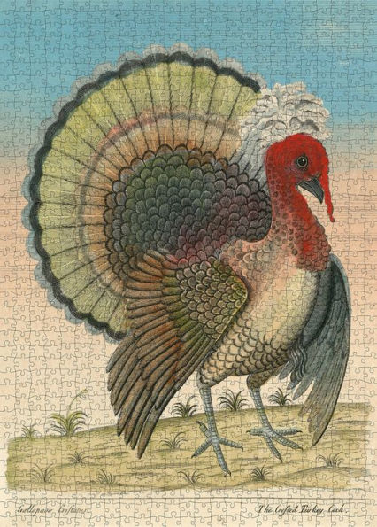 John Derian Paper Goods: Crested Turkey 1,000-Piece Puzzle