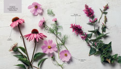 Alternative view 6 of The Container Garden Recipe Book: 57 Designs for Pots, Window Boxes, Hanging Baskets, and More