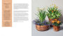 Alternative view 9 of The Container Garden Recipe Book: 57 Designs for Pots, Window Boxes, Hanging Baskets, and More