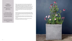Alternative view 10 of The Container Garden Recipe Book: 57 Designs for Pots, Window Boxes, Hanging Baskets, and More