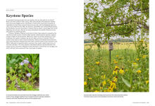 Alternative view 3 of Gardenista: The Low-Impact Garden: A Guide to Creating Sustainable Outdoor Spaces