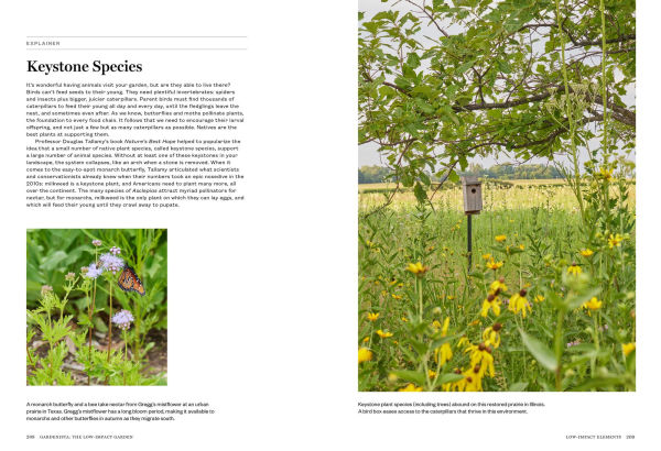 Gardenista: The Low-Impact Garden: A Guide to Creating Sustainable Outdoor Spaces