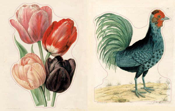 John Derian Sticker Book II
