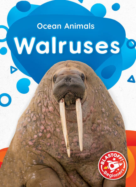 Walruses