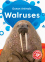 Walruses