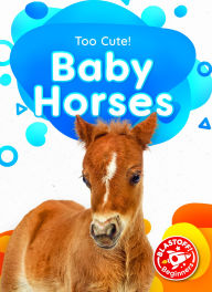 Title: Baby Horses, Author: Betsy Rathburn