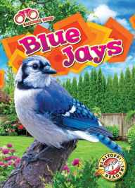 Title: Blue Jays, Author: Elizabeth Neuenfeldt