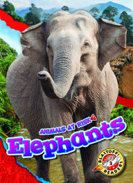Title: Elephants, Author: Rachel Grack