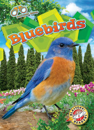 Title: Bluebirds, Author: Rachael Barnes