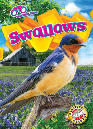 Title: Swallows, Author: Rachael Barnes