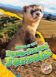 Title: Black-footed Ferrets, Author: Rachel Grack