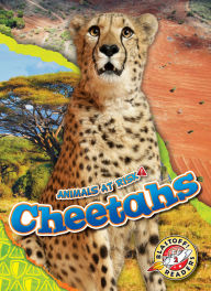 Title: Cheetahs, Author: Rachel Grack