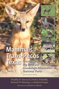 Title: The Mammals of Trans-Pecos Texas: Including Big Bend and Guadalupe Mountains National Parks, Author: Franklin D. Yancey II