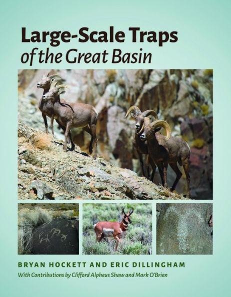 Large-Scale Traps of the Great Basin