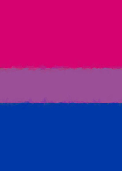 Bisexual Pride Flag Journal