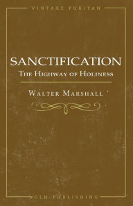 Title: Sanctification; The Highway of Holiness, Author: Walter Marshall