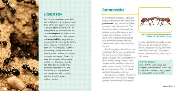 Ants for Kids: A Junior Scientist's Guide to Queens, Drones, and the Hidden World of Ants