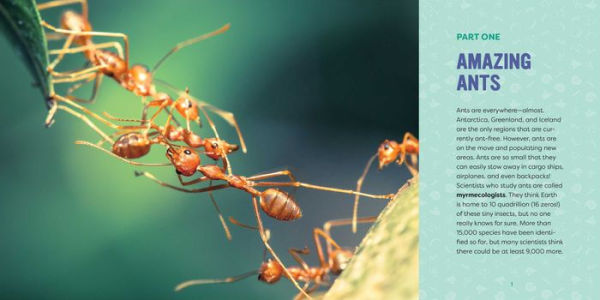 Ants for Kids: A Junior Scientist's Guide to Queens, Drones, and the Hidden World of Ants