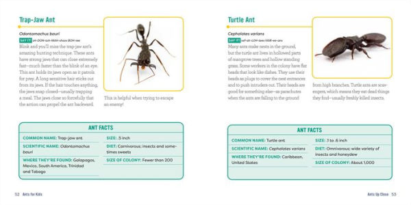 Ants for Kids: A Junior Scientist's Guide to Queens, Drones, and the Hidden World of Ants