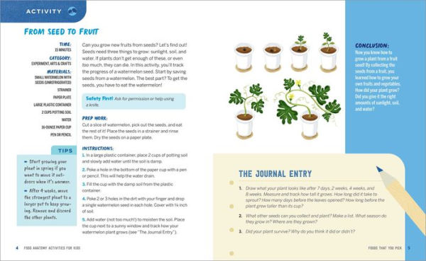 Food Anatomy Activities for Kids: Fun, Hands-On Learning