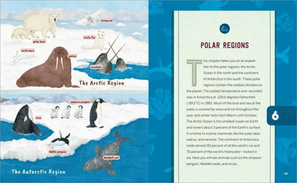 Ocean Anatomy Activities for Kids: Fun, Hands-On Learning