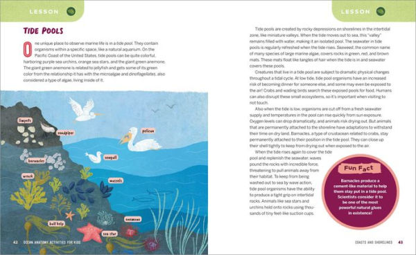 Ocean Anatomy Activities for Kids: Fun, Hands-On Learning
