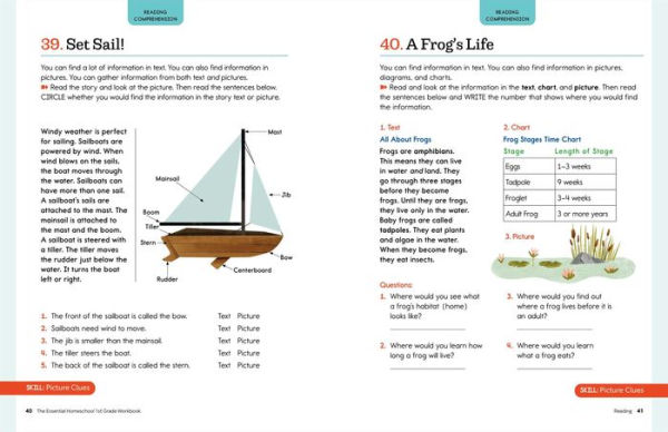 The Essential Homeschool 1st Grade Workbook: 135 Fun Curriculum-Based Exercises to Build Skills in Reading, Writing, and Math