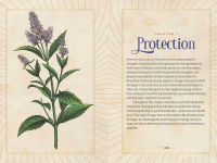 Alternative view 5 of Essential Oil Magic: Natural Spells for the Green Witch