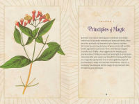 Alternative view 9 of Essential Oil Magic: Natural Spells for the Green Witch