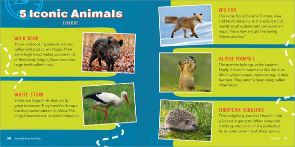 Animal Atlas for Kids: A Visual Journey of Wildlife from Around the World