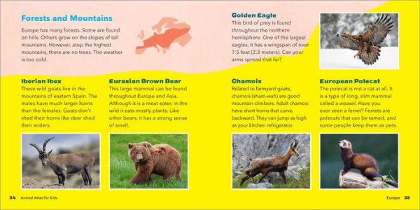 Animal Atlas for Kids: A Visual Journey of Wildlife from Around the World