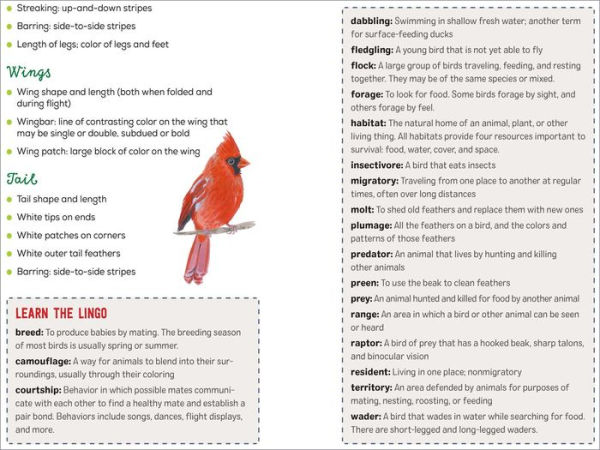 Bird Watching Book for Kids: A Journal to Observe and Record Your Birding Adventures