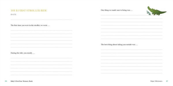 Baby's First-Year Memory Book: Memories and Milestones