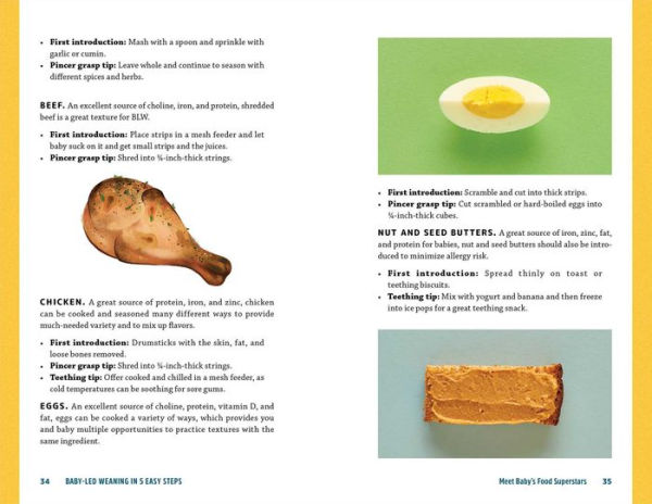 Baby-Led Weaning In 5 Easy Steps: A New Parent's Guide