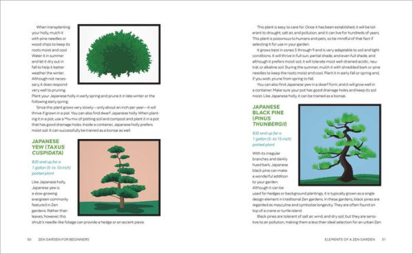 Zen Garden for Beginners: a Guide to Cultivating Peaceful Space of Any