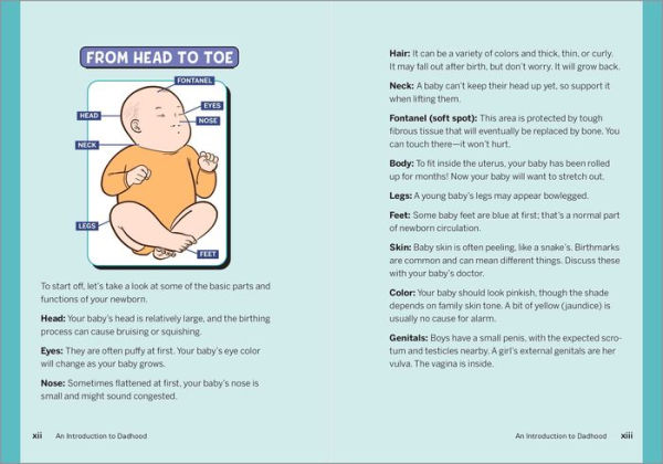 The Ultimate Baby Book for New Dads: 100 Ways to Care Your Their First Year