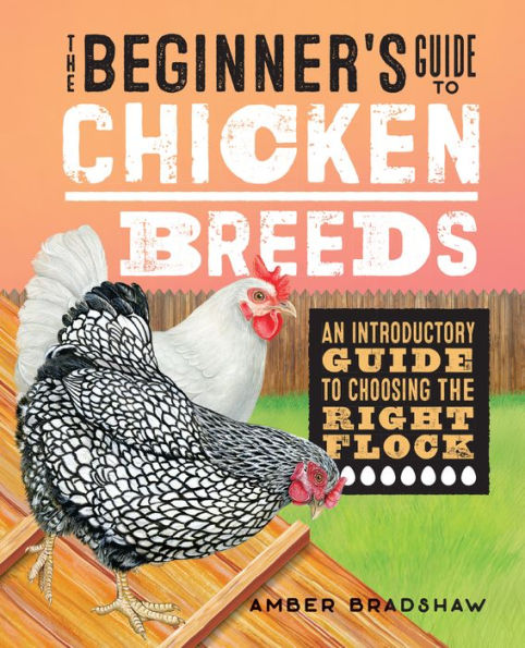 the Beginner's Guide to Chicken Breeds: An Introductory Choosing Right Flock