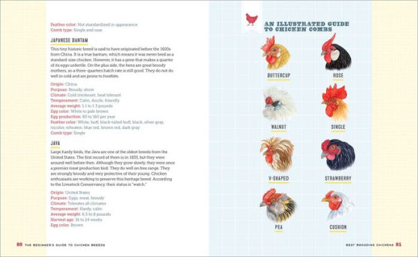 The Beginner's Guide to Chicken Breeds: An Introductory Guide to Choosing the Right Flock