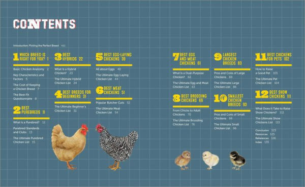 12 Top Most Largest Chicken Breeds, by Ourhomesteadguide