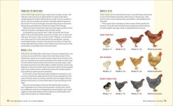Alternative view 9 of The Beginner's Guide to Chicken Breeds: An Introductory Guide to Choosing the Right Flock