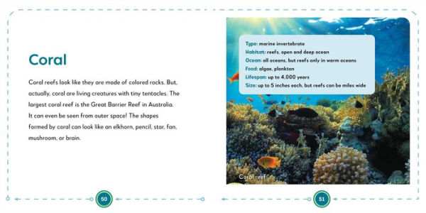 My First Book of Ocean Animals: All About Marine Wildlife for Kids