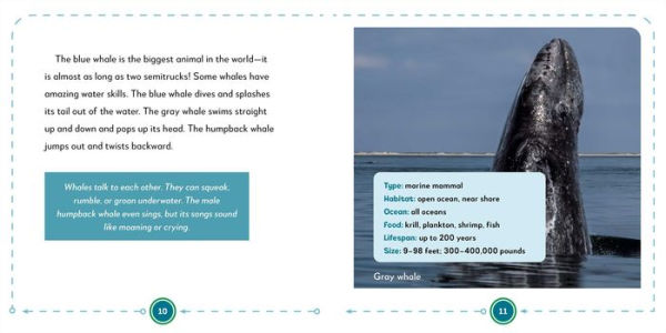 My First Book of Ocean Animals: All About Marine Wildlife for Kids