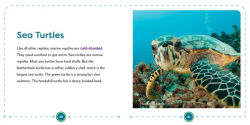 Alternative view 8 of My First Book of Ocean Animals: All About Marine Wildlife for Kids