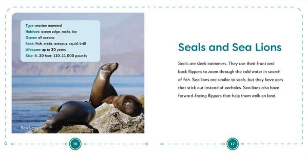 My First Book of Ocean Animals: All About Marine Wildlife for Kids