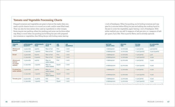 Beginner's Guide to Preserving: Safely Can, Ferment, Dehydrate, Salt, Smoke, and Freeze Food