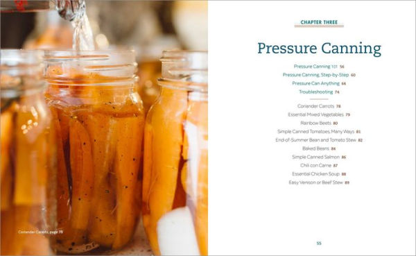 Beginner's Guide to Preserving: Safely Can, Ferment, Dehydrate, Salt, Smoke, and Freeze Food